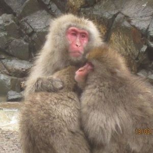 Meet your Posher, Georges